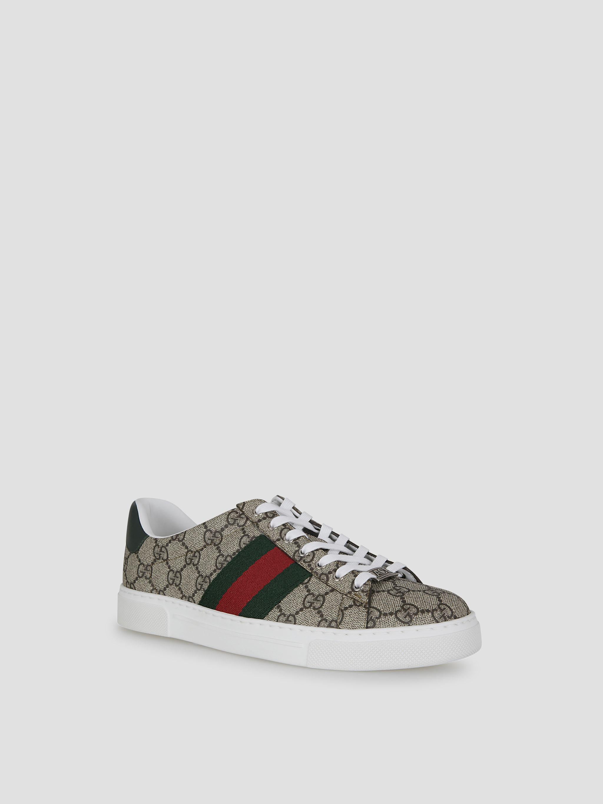 Gucci superge Ace