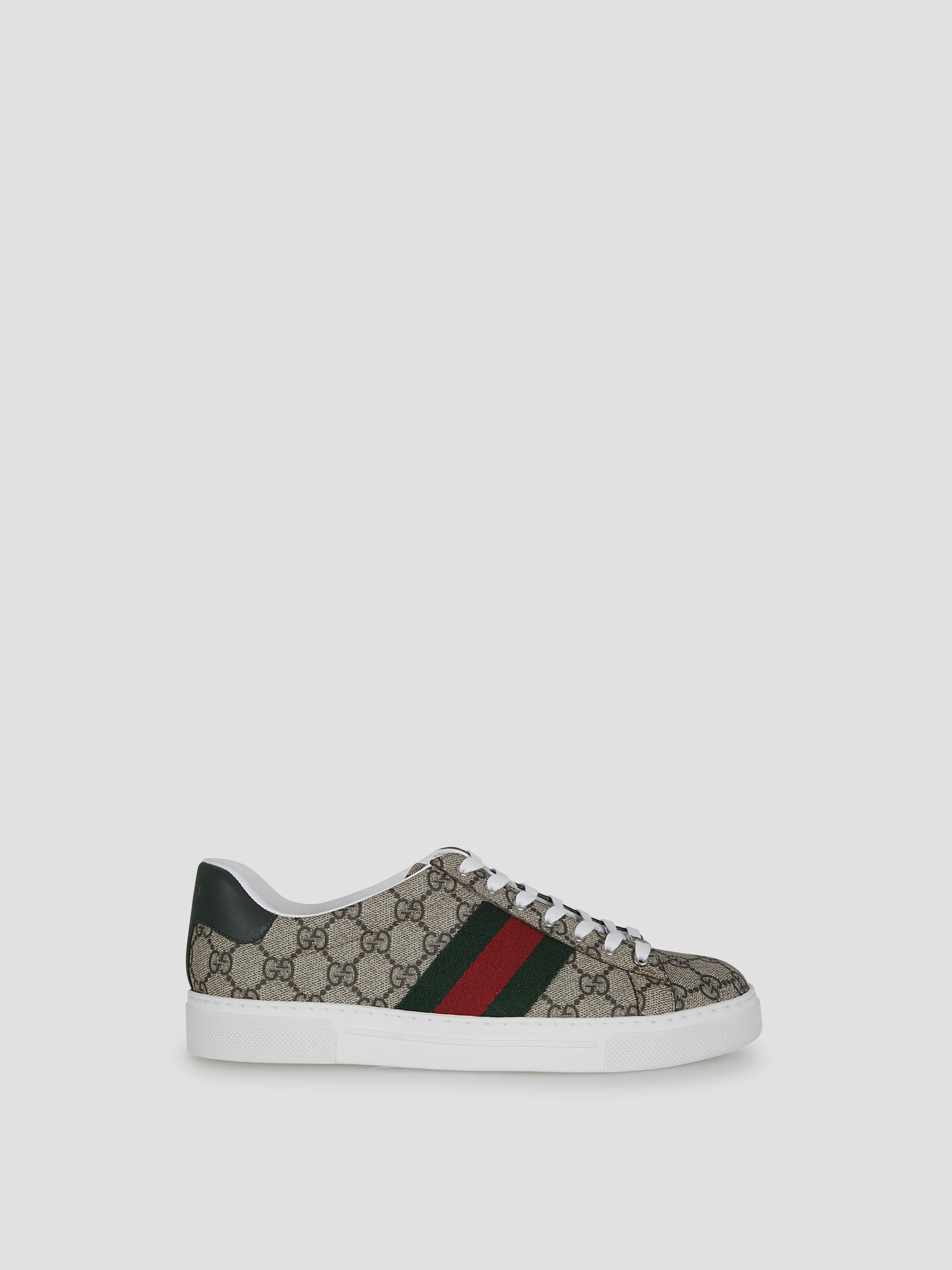 Gucci superge Ace