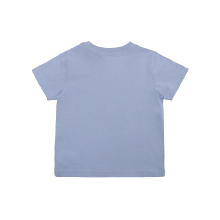 322934270004 BLU HYCNTH_2.jpg